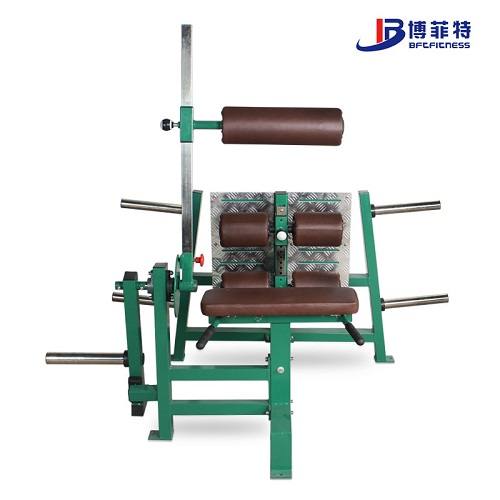 腰腹背肌训练器 反向腿部伸展 重负载挂片式免维护系列大图展示2