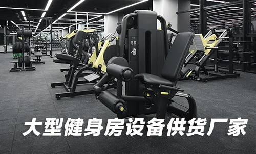 大型健身房设备供货供货方