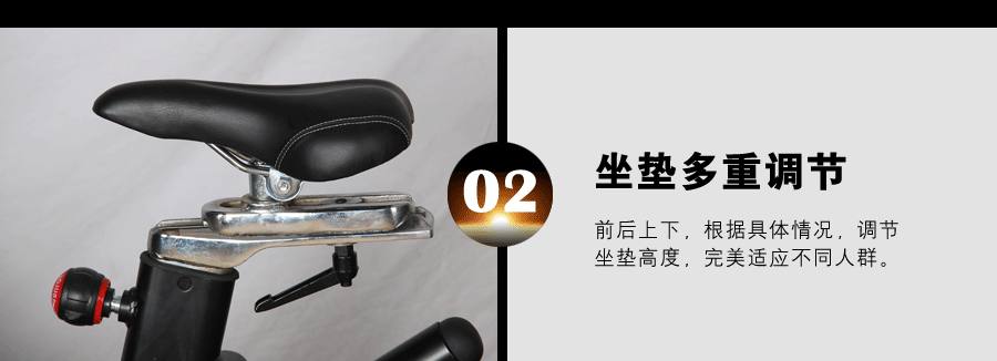 BSE-04 超酷摇摆动感单车 高质量动感单车批发