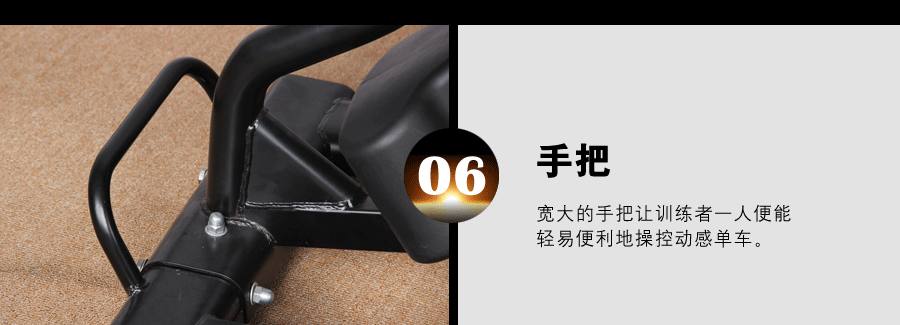 BSE-04 超酷摇摆动感单车 高质量动感单车批发