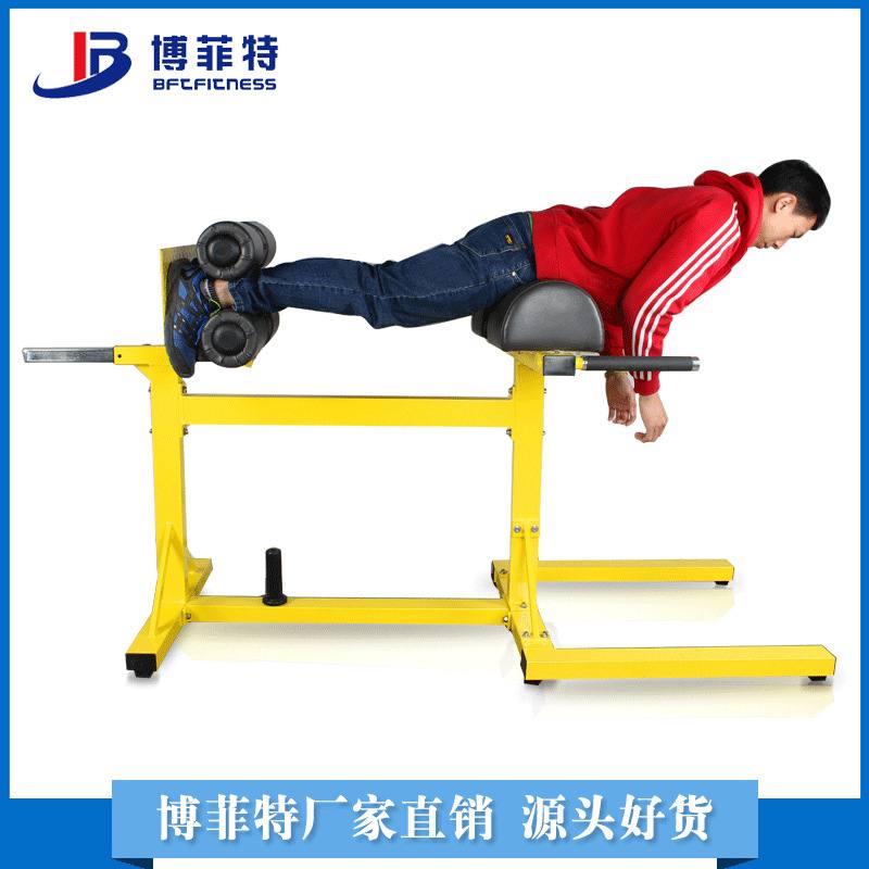 YC1023水平罗马椅训练器 山羊挺身健身器材广州