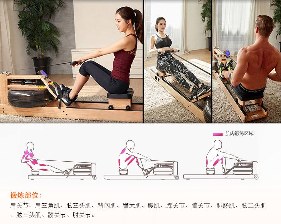 BCE606水阻划船器 专业商用健身房划船机器供货方批