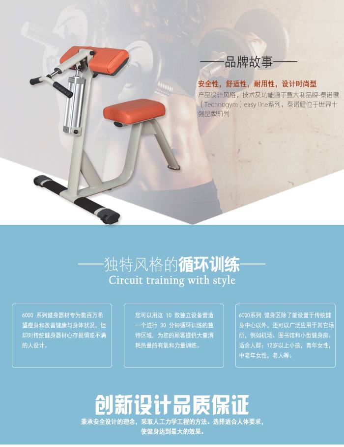 YC-6003二/三头肌训练器