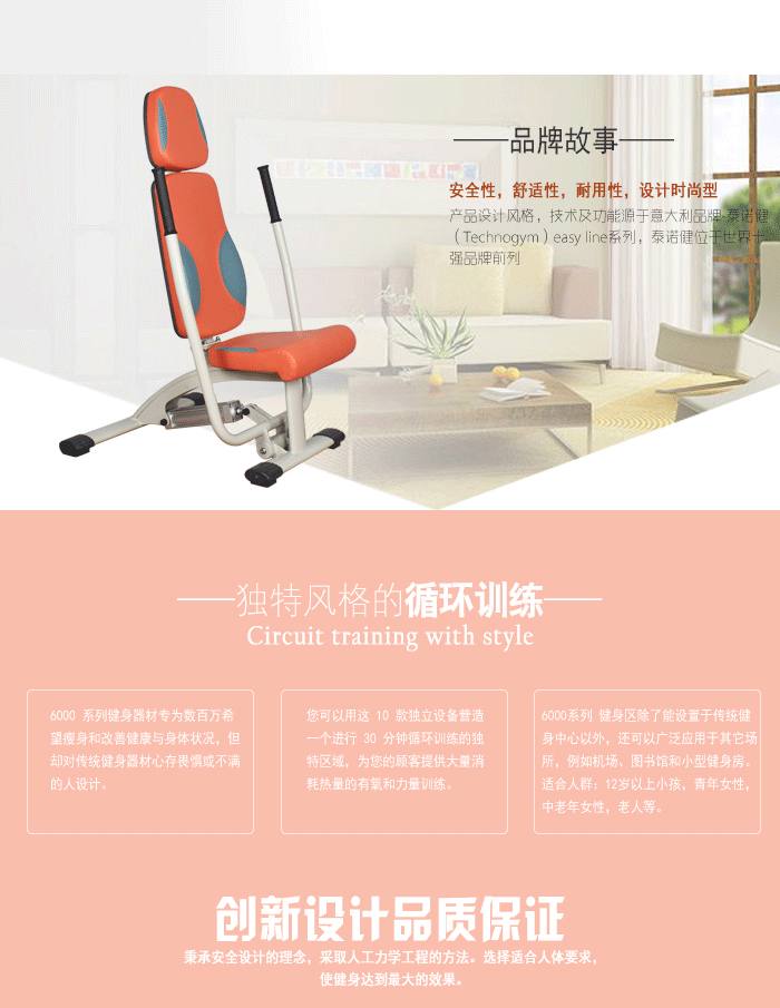 YC-6009坐姿平推/划船训练器