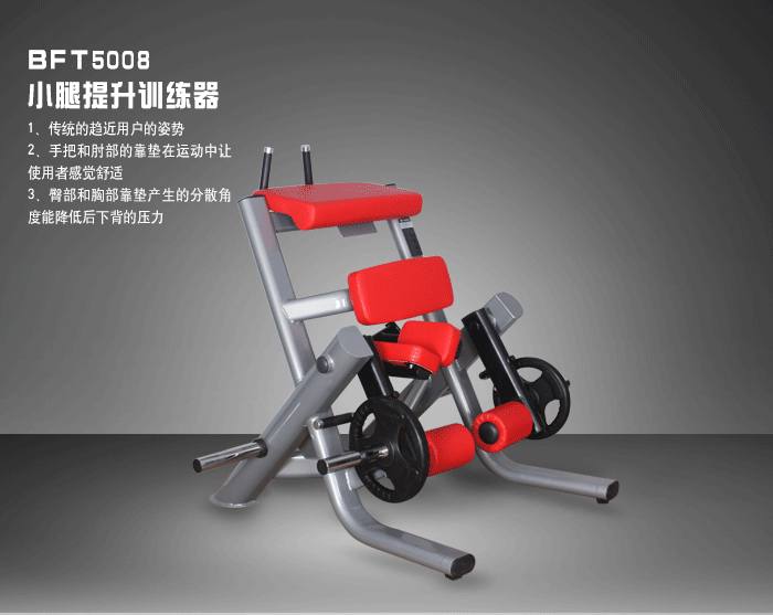 YC5008小腿提升训练器材